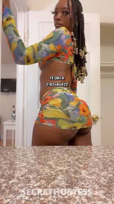 Tequila 23Yrs Old Escort Los Angeles CA Image - 4