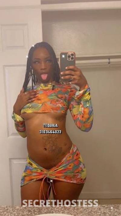 Tequila 23Yrs Old Escort Los Angeles CA Image - 5