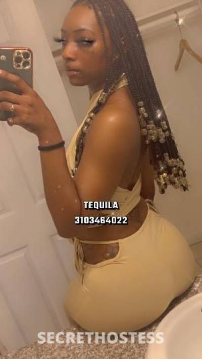 Tequila 23Yrs Old Escort Los Angeles CA Image - 8