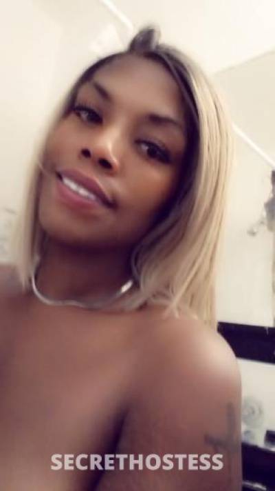 TierraMon'et 39Yrs Old Escort Dayton OH Image - 3