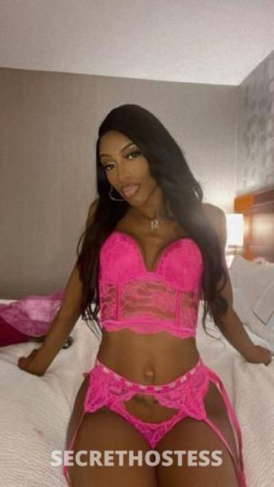 Vanessa 24Yrs Old Escort Modesto CA Image - 2