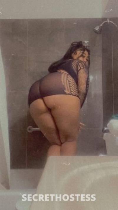 22 year old Asian Escort in St. Louis MO Cum bust a fat nut