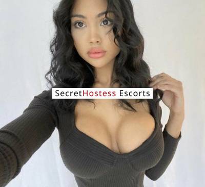 22 Year Old European Escort San Jose CA - Image 4