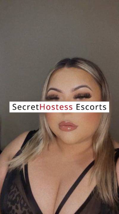 23Yrs Old Escort 83KG 167CM Tall San Diego CA Image - 3