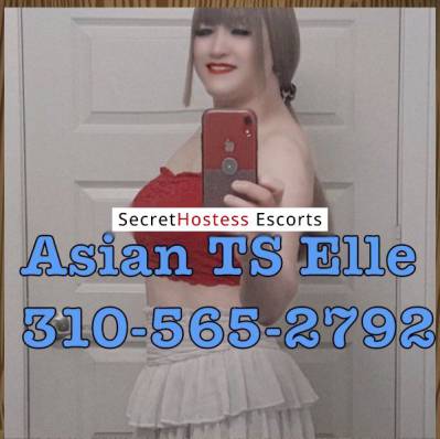 24Yrs Old Escort 56KG 162CM Tall San Diego CA Image - 9