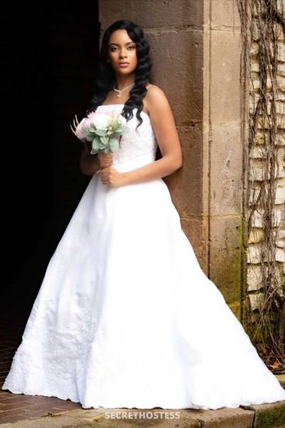 27 year old Escort in Houston TX the ultimate experience