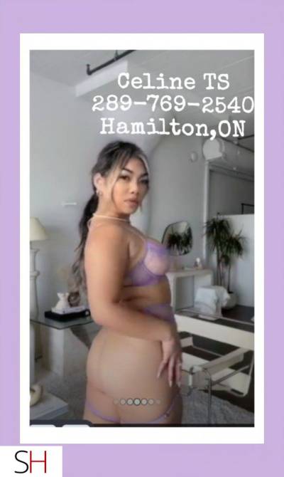 29Yrs Old Escort Hamilton Image - 3