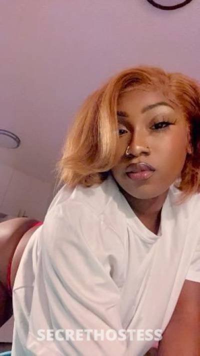 Barbie 25Yrs Old Escort San Antonio TX Image - 3