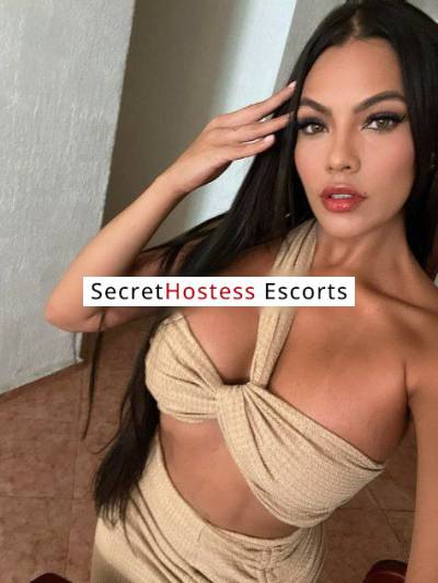 28 Year Old Latino Escort San Diego CA Brown Hair Brown eyes - Image 6