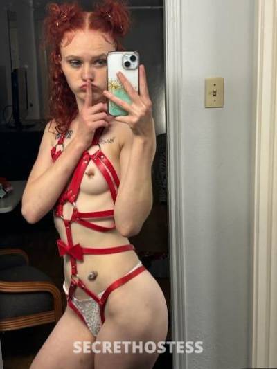 petite,pretty SnowBunny. Incalls/OutCalls, extras, content!  in Denton TX