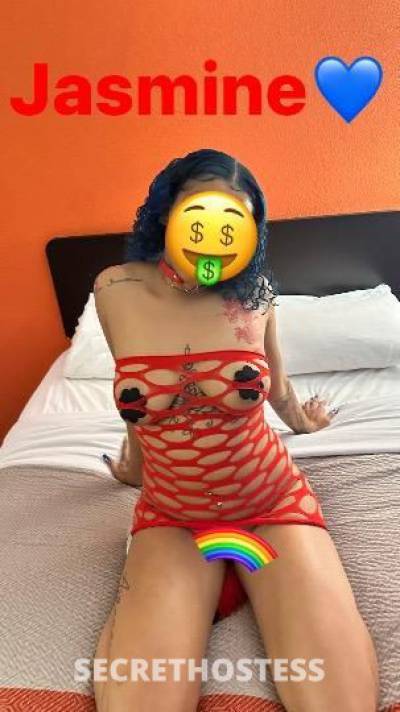 Jasmine 20Yrs Old Escort Milwaukee WI Image - 4