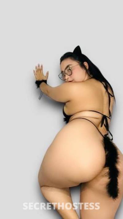 Laura 20Yrs Old Escort Houston TX Image - 3