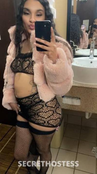 Lexi 25Yrs Old Escort College Station TX Image - 1