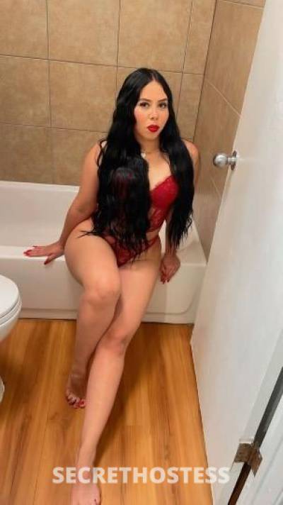 Sherley 23Yrs Old Escort Dallas TX Image - 4