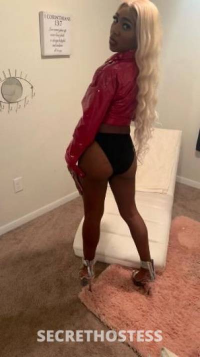 Shyanne 24Yrs Old Escort Houston TX Image - 1