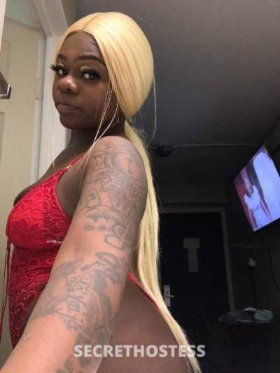 Tiger&Paris 27Yrs Old Escort Milwaukee WI Image - 5