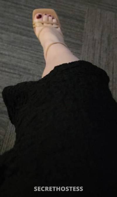 53Yrs Old Escort Size 14 Perth Image - 9