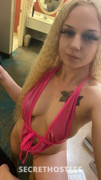 Amber 22Yrs Old Escort San Buenaventura CA Image - 7