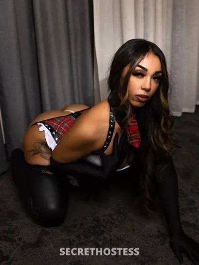 Aria 22Yrs Old Escort Los Angeles CA Image - 4