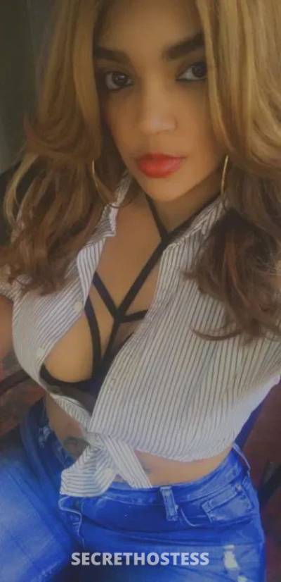 27 year old Escort in Antioch CA xxxx-xxx-xxx ..SEX SERVICE❤️I’m maria let’s fuck