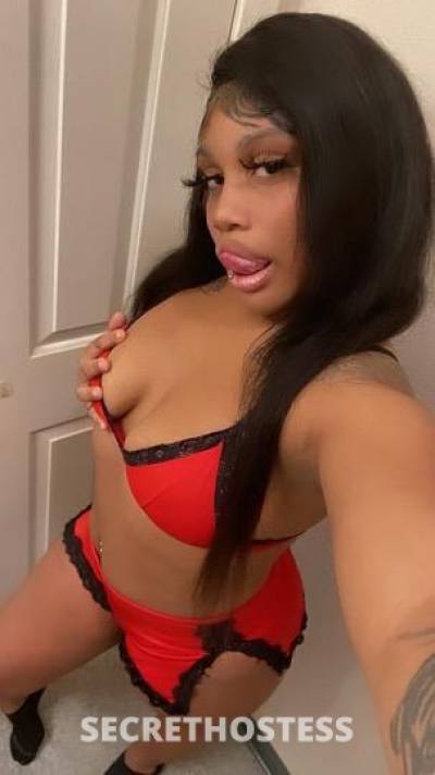 Cece 23Yrs Old Escort Monterey CA Image - 3