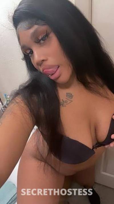 Cece 23Yrs Old Escort Monterey CA Image - 5