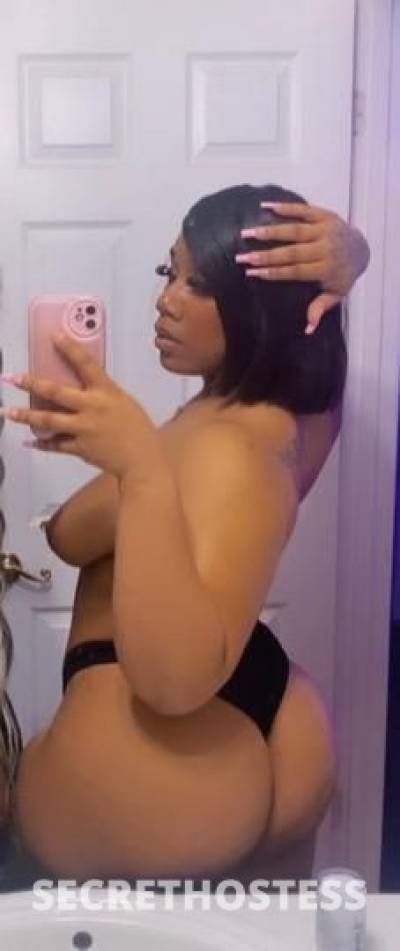 Judy 25Yrs Old Escort Chicago IL Image - 1