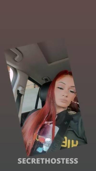 Kashy 24Yrs Old Escort Long Beach CA Image - 5