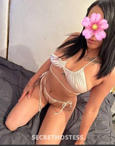 Katty 24Yrs Old Escort Northern Virginia DC Image - 0