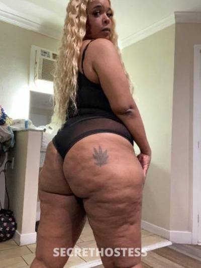 Loyalty 29Yrs Old Escort Los Angeles CA Image - 5