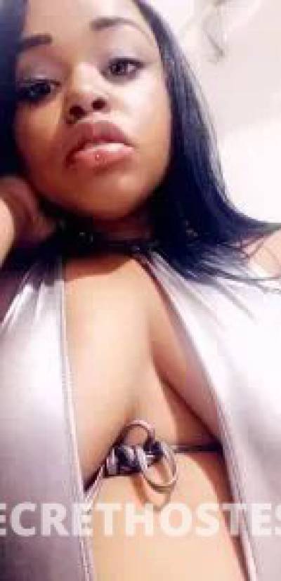 Macy  🌟 23Yrs Old Escort Antioch CA Image - 1