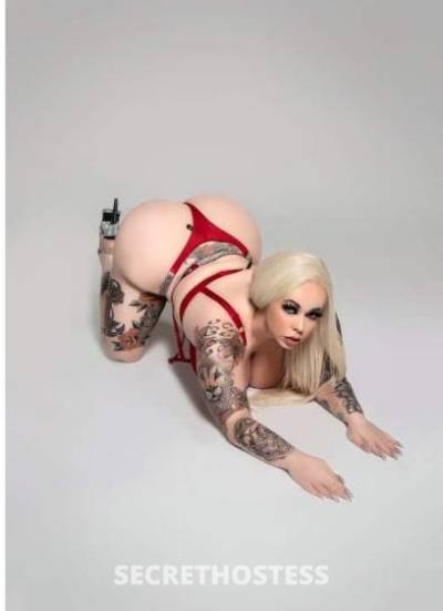 Marilyn 28Yrs Old Escort Raleigh NC Image - 4