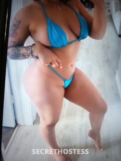 Micky 24Yrs Old Escort Bridgeport CT Image - 4