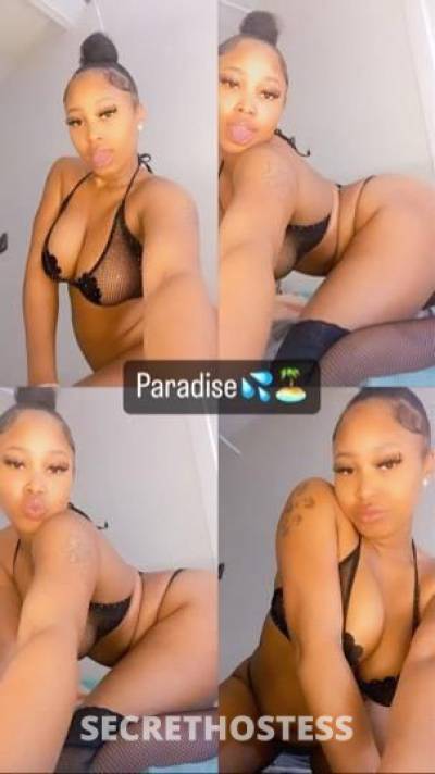 Paradise 19Yrs Old Escort Denver CO Image - 3