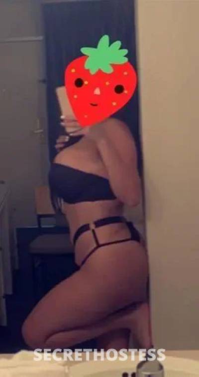 Sandrababy 23Yrs Old Escort North Bay CA Image - 1