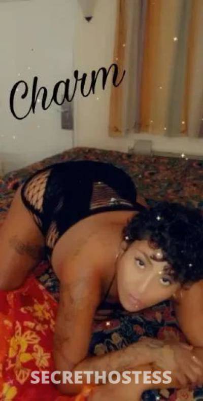 Sandrababy 26Yrs Old Escort North Bay CA Image - 5