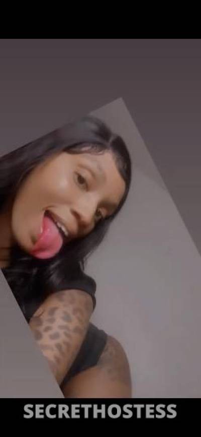 Suckums 28Yrs Old Escort Wilmington DE Image - 1