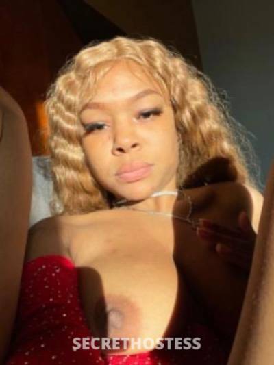Sunshine 25Yrs Old Escort Raleigh NC Image - 7