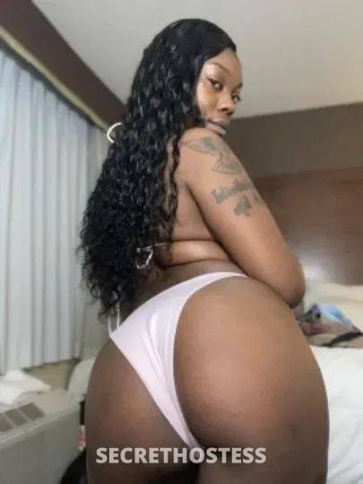 Ariana 26Yrs Old Escort North Bay CA Image - 4