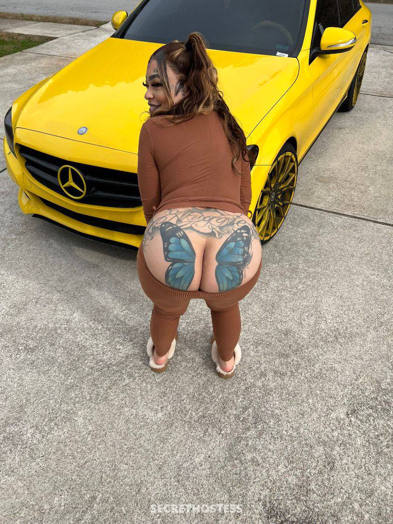 Cindy 25Yrs Old Escort Brantford Image - 0