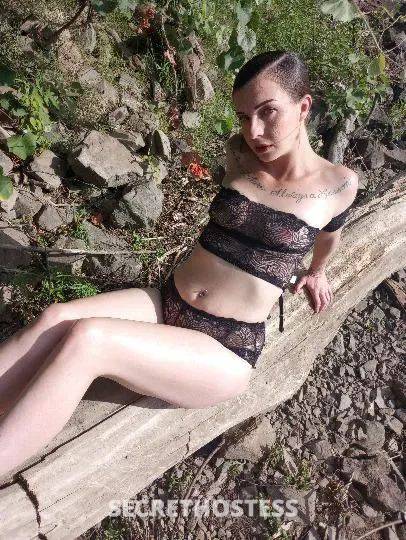Sandrababy 28Yrs Old Escort North Bay CA Image - 1