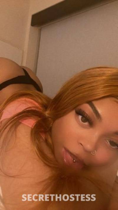 🍯 25Yrs Old Escort San Francisco CA Image - 0