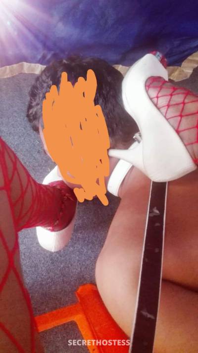 30 Year Old Asian Escort Colombo - Image 5