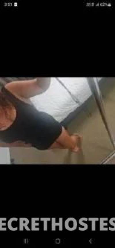 30Yrs Old Escort Size 14 Cairns Image - 3