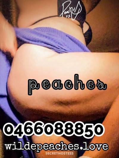 33Yrs Old Escort Size 10 169CM Tall Melbourne Image - 14