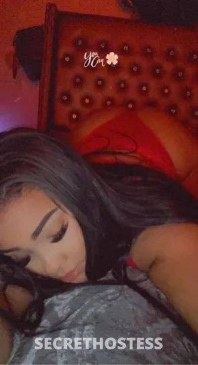 Janet 24Yrs Old Escort North Bay CA Image - 1