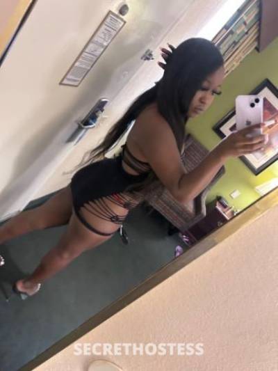 Lanii 20Yrs Old Escort San Francisco CA Image - 2