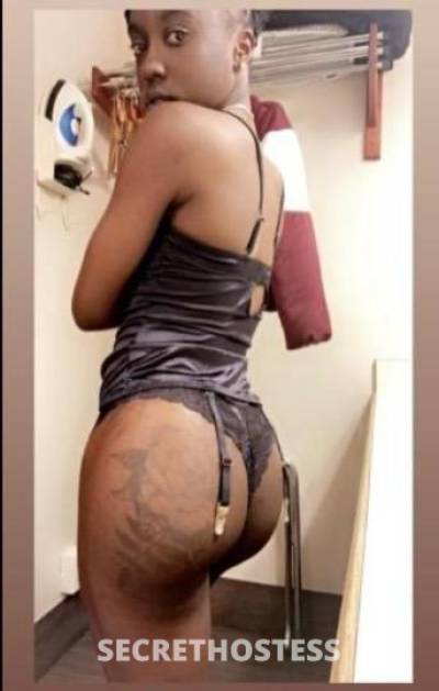 Nunu 22Yrs Old Escort Olympia WA Image - 6