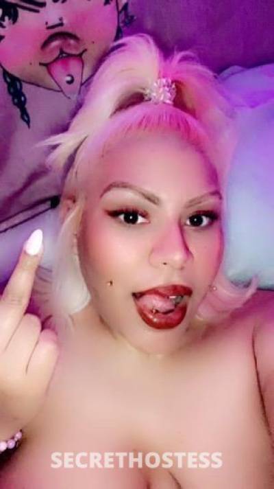 Omi 26Yrs Old Escort Denver CO Image - 3