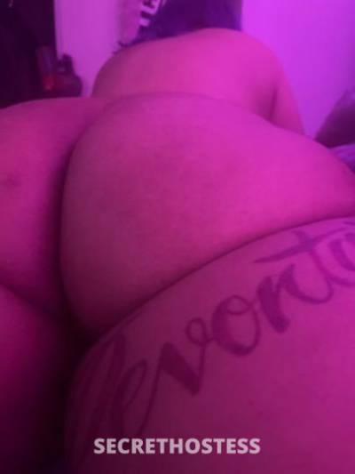 Omi 26Yrs Old Escort Denver CO Image - 9